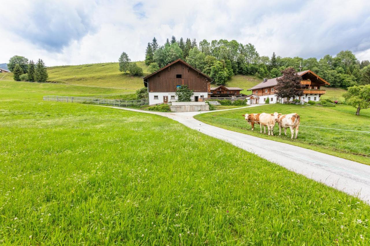 Ferienhaus Mittersill Am Biohof Widholz Екстер'єр фото